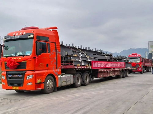 重慶物流集團(tuán)跨境公路班車 南川大宗綠色建材出海運(yùn)輸新紐帶